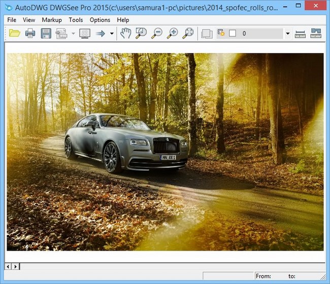 Haga clic para ampliar la imagen.