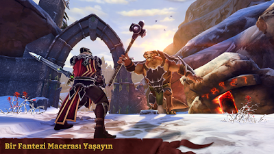 Haga clic para ampliar la imagen.