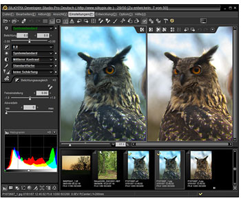 Haga clic para ampliar la imagen.