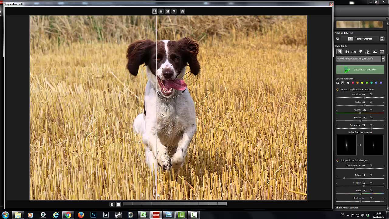 Haga clic para ampliar la imagen.