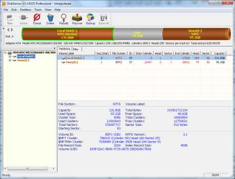 DiskGenius Profesional
