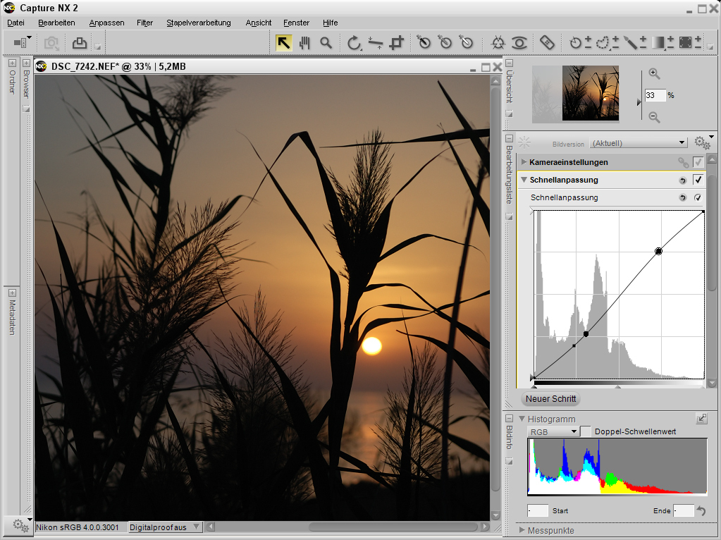 Haga clic para ampliar la imagen.