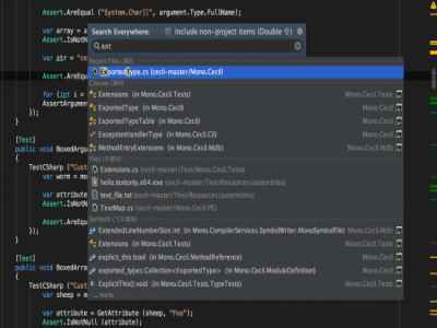 Jinete de JetBrains (2)