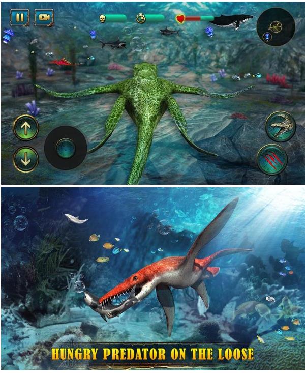 Haga clic para ampliar la imagen.