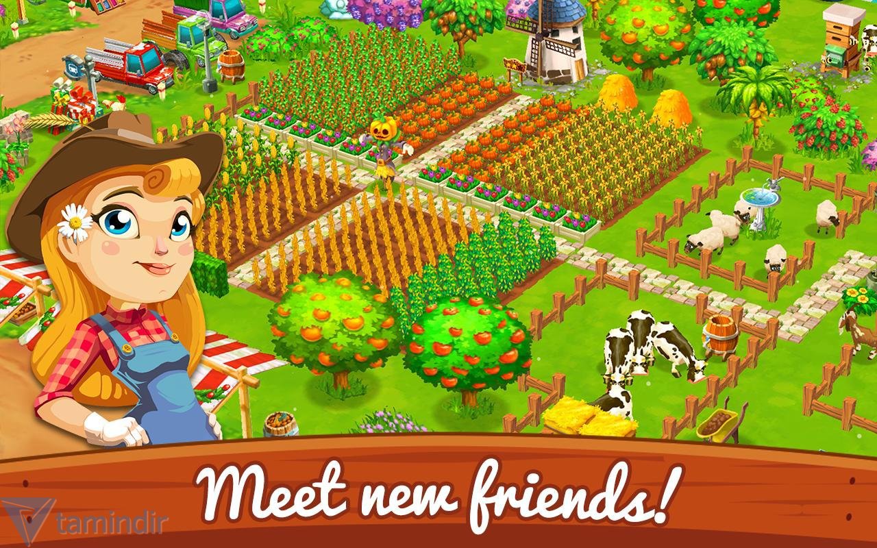 Haga clic para ampliar la imagen.