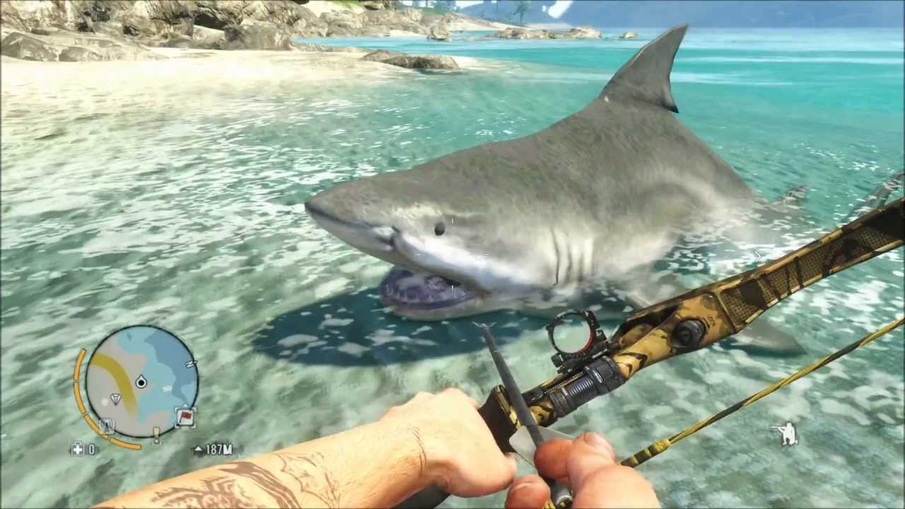 Haga clic para ampliar la imagen.