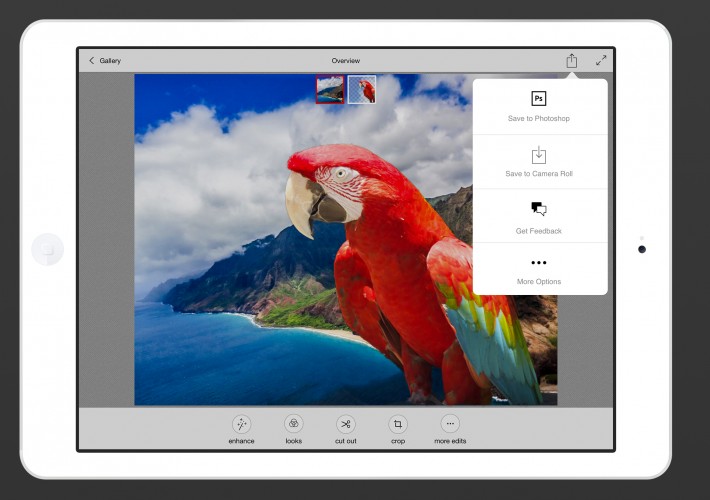 Haga clic para ampliar la imagen.