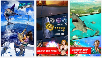 Haga clic para ampliar la imagen.