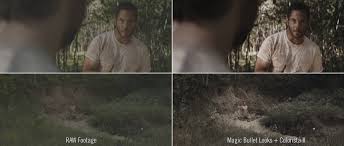 Haga clic para ampliar la imagen.