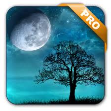 Dream Night Pro Live Wallpapers Apk + Android v1.70