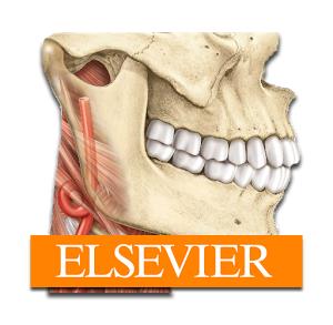 Atlas de anatomía de Sobotta APK Descargar completo v2.10.5