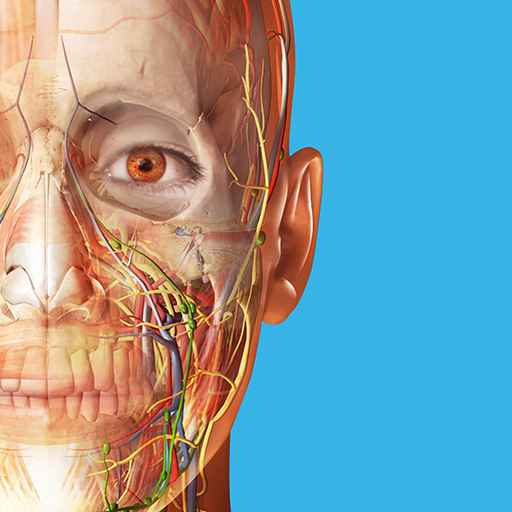 Atlas de anatomía humana 2023 Apk Descargar – Completo v2023.02.01