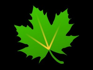 Descargar Greenify Pro Apk – Android completo 4.7.8 final
