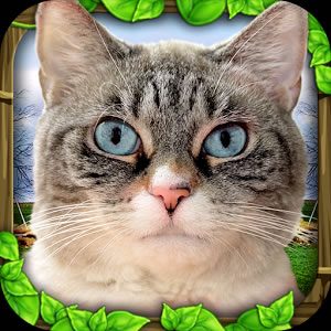 Simulador de gato callejero Apk v4.7.3 Android