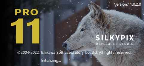Descargar SILKYPIX Developer Studio Pro – Completo v12.0.5.0