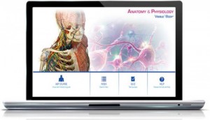 Anatomía y fisiología del cuerpo visible Descarga completa