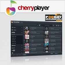 Descargar CherryPlayer v3.4.3