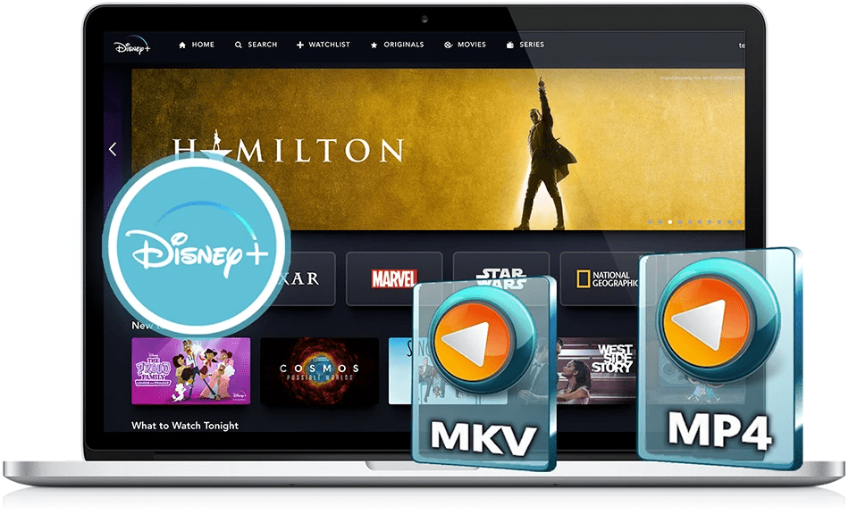 Descargar Pazu DisneyPlus Video Downloader – Completo v1.6.1