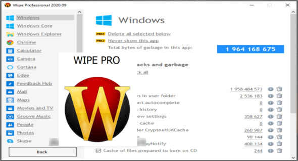 Descarga completa de Wipe Professional – v2026.04