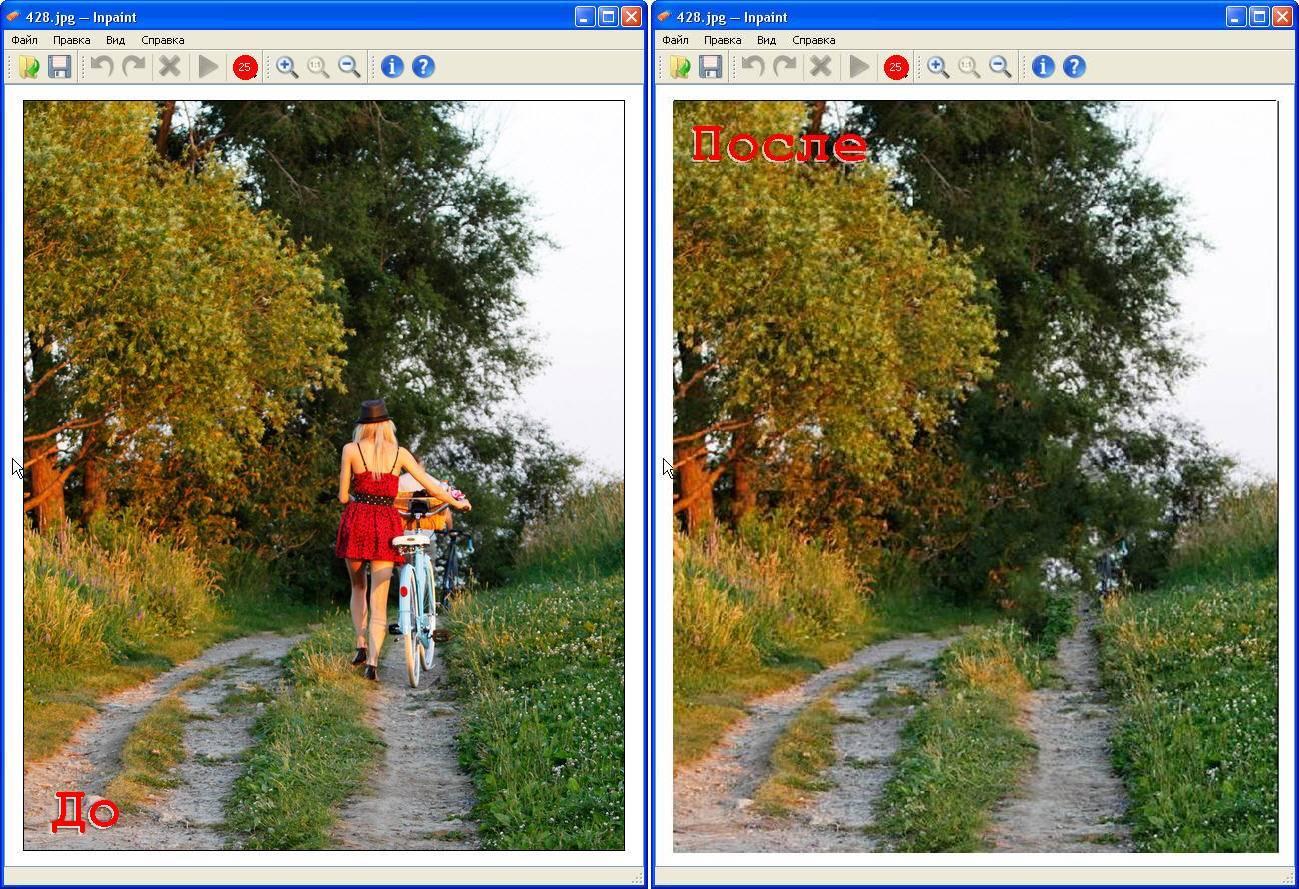Haga clic para ampliar la imagen.