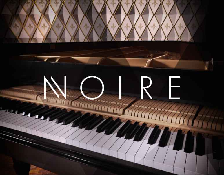 Descarga de la biblioteca KONTAKT de Native Instruments Noire – Completa