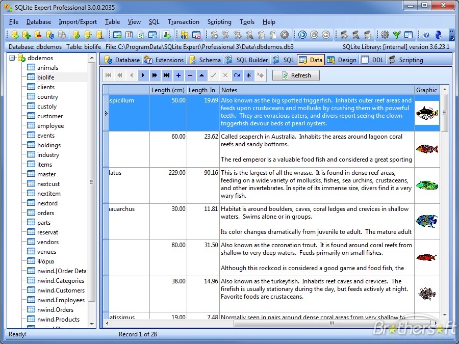 Haga clic para ampliar la imagen.