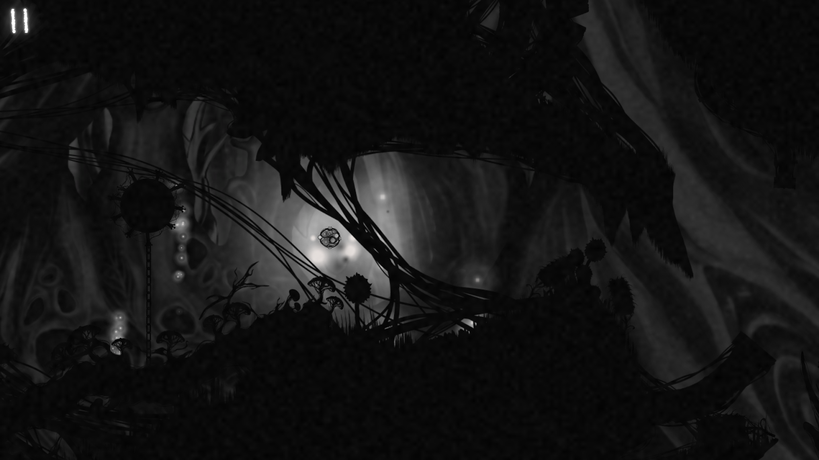 Haga clic para ampliar la imagen.