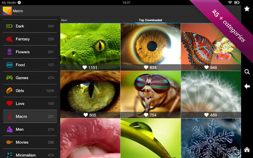 Haga clic para ampliar la imagen.