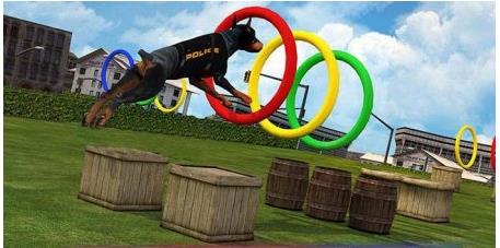 Haga clic para ampliar la imagen.