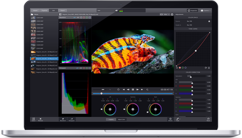 Haga clic para ampliar la imagen.