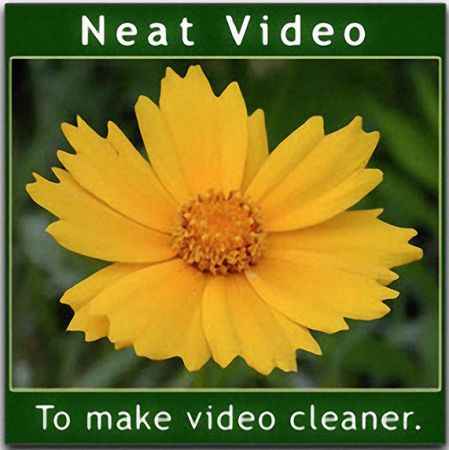 Descargar Neat Video Pro – Completo v6.0.5 (x64)