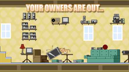 Gato torpe Apk