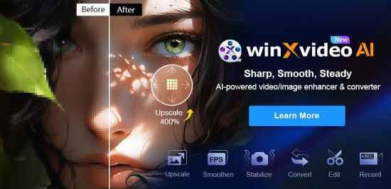 Descarga de Digiarty Winxvideo AI – Completa v3.0 (x64)