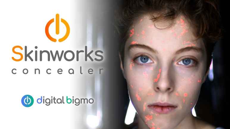 Descarga de Digitalbigmo Skinworks – Completa v2024.11.00