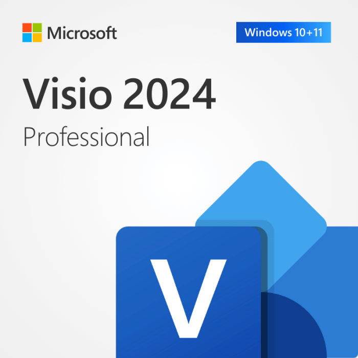 Descarga de Microsoft Visio Pro 2024 – Turco completo