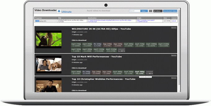 Descargador de videos Ultimate completo v1.0.1.237