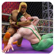 Descargar Cage Wrestling Revolution Ladder Match Fighting APK – Mod