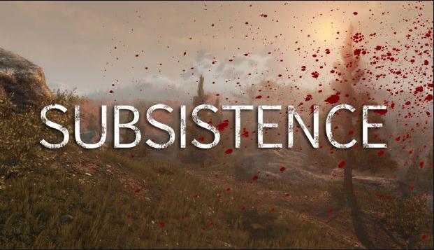 subsistencia