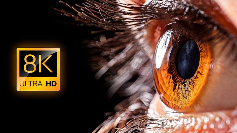 Descargar el Descargador de videos 8K – Completo