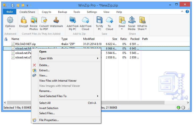 Descargar WinZip