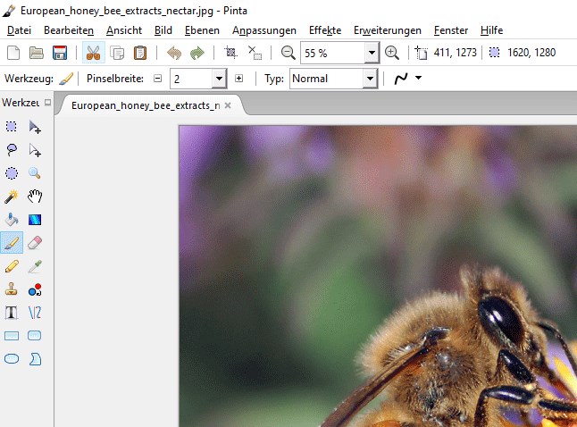 Pinta 3.0.4 x64