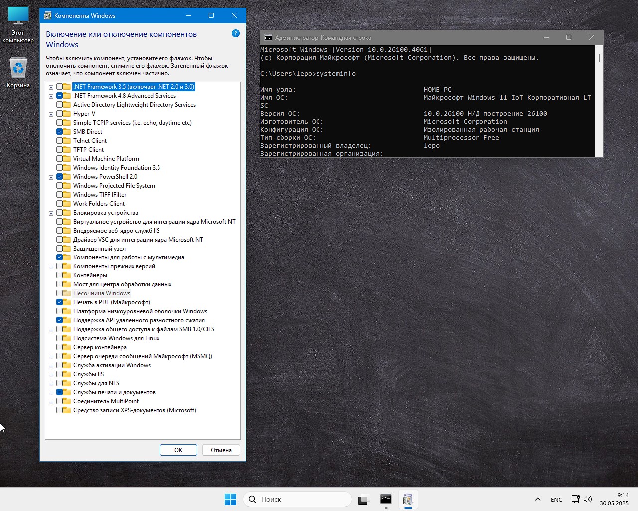 Torrente Windows 11 LTSC 2025 