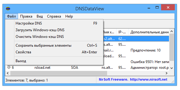 Vista de datos DNS