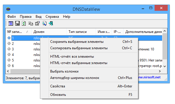 Vista de datos DNS