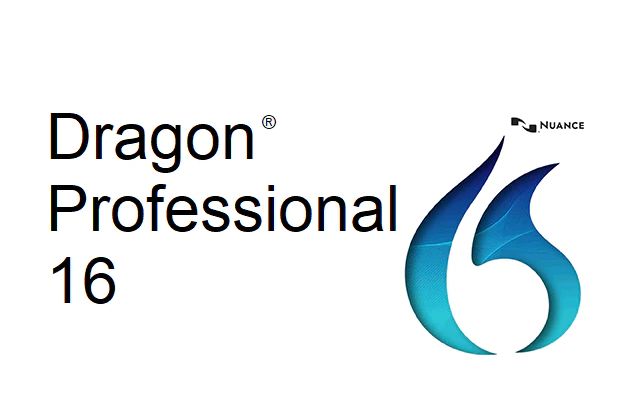 Dragón de matices