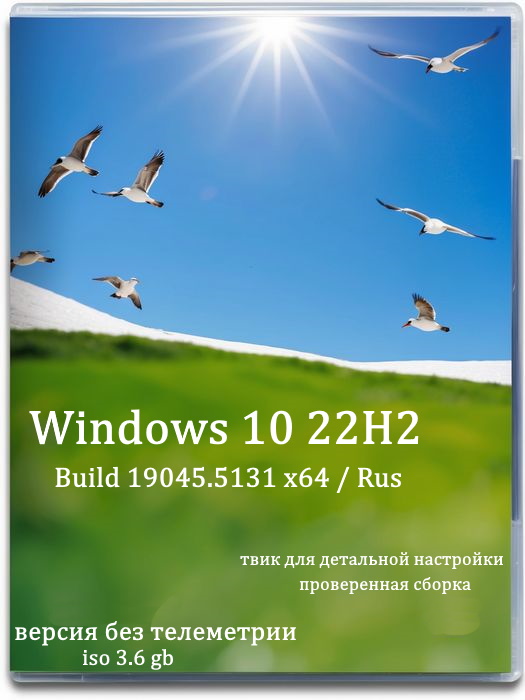 Windows 10 sin activación 22H2 compilado  sin publicidad