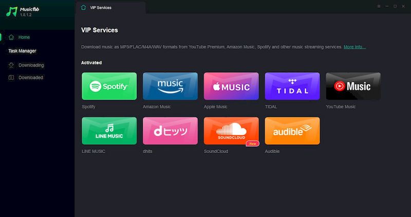 MusicFab + crack
