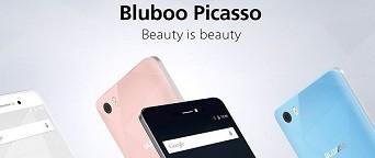 raíz-bluboo-picasso